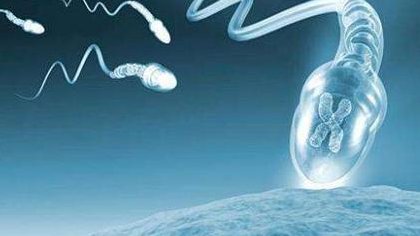 泰国试管真的那么好吗？比国内试管技术好在哪儿？