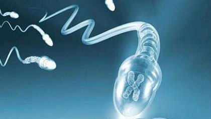 试管选择鲜胚移植雌二醇多高才能着床？