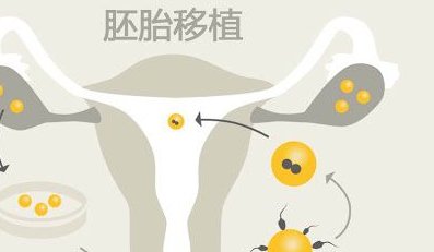 2026年在东部战区总医院做三代试管婴儿指南！怀孕成功率多少供您参考