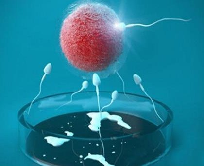 在解放军第901医院做试管婴儿要多少钱？成功率怎么样？附试管怀孕机构名单一览